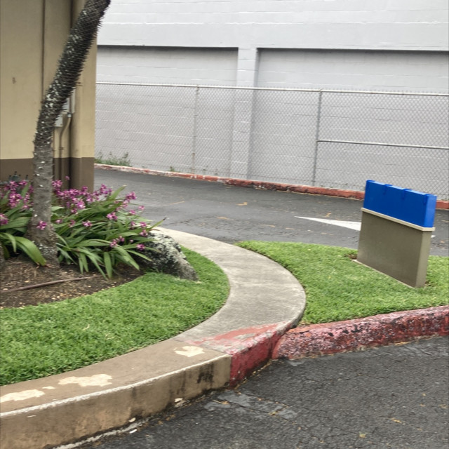 Bank stair set, ledges, and curved manny pad