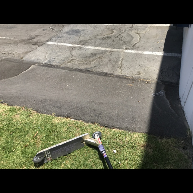 Huge grass bank