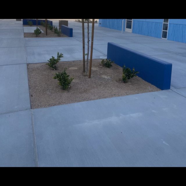 Spot #41929