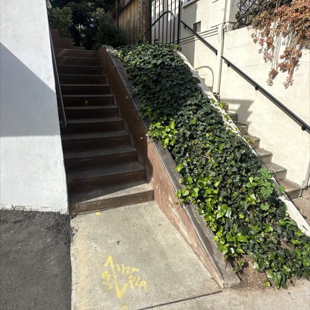 Spot #39984