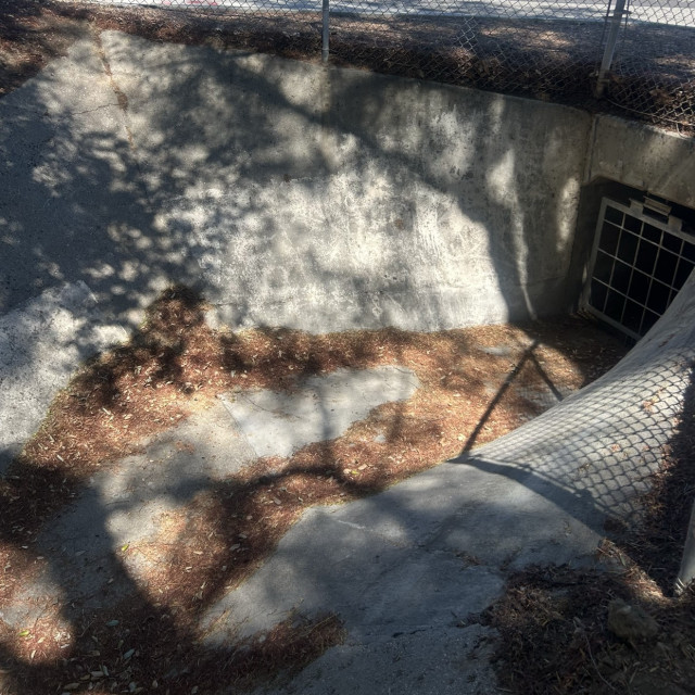 Ditch
