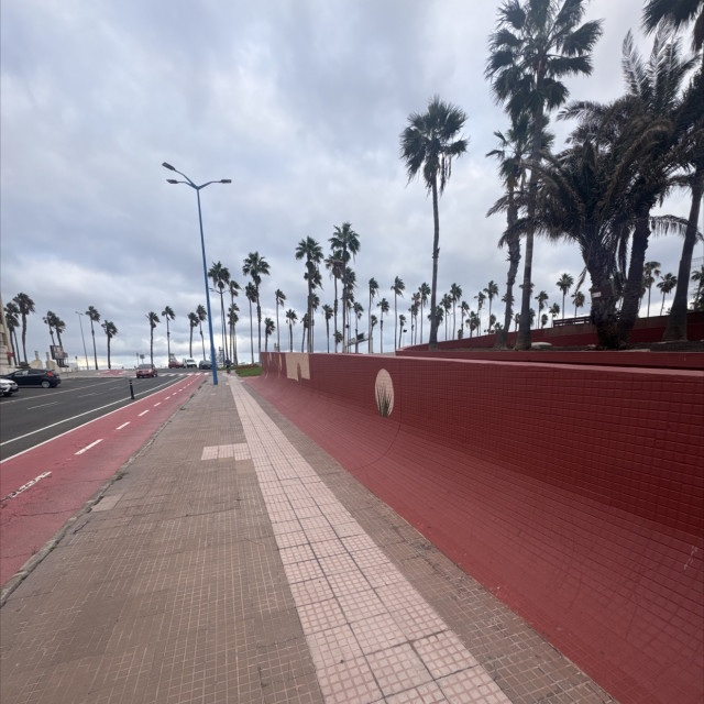 Spot #50823