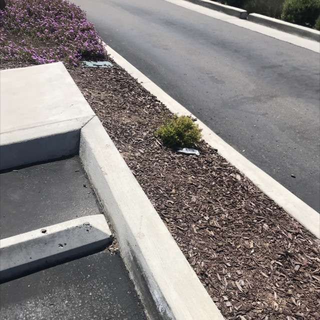 Dunkin Donuts Gap