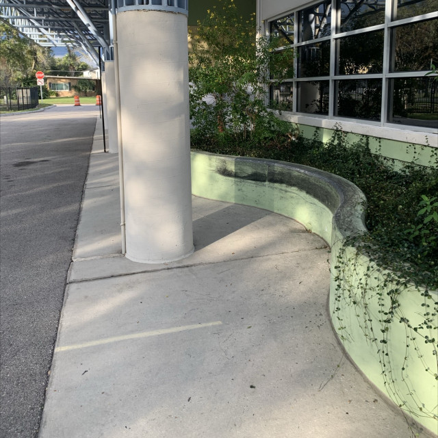 Tall curve ledge