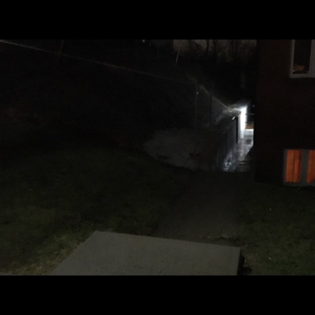 Spot #15268