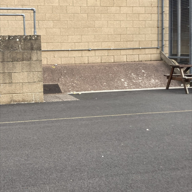 Spot #43919