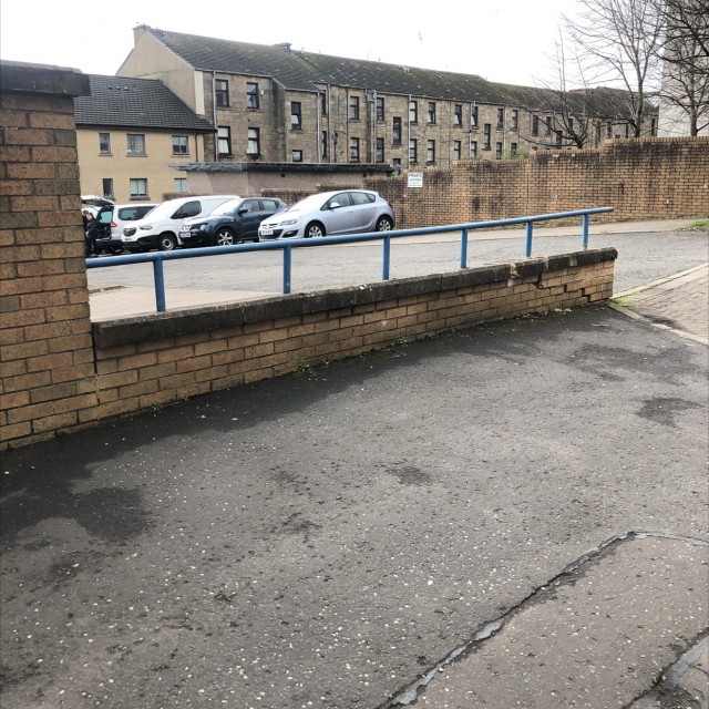 Blue flatrail