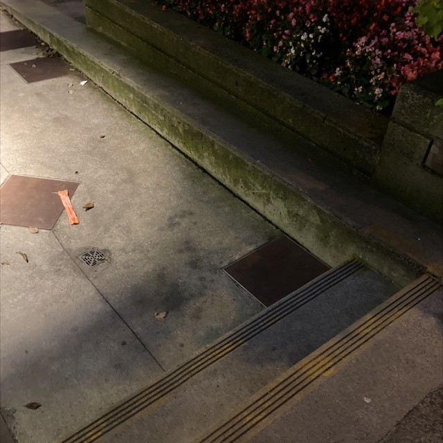 2 step plus ledge 