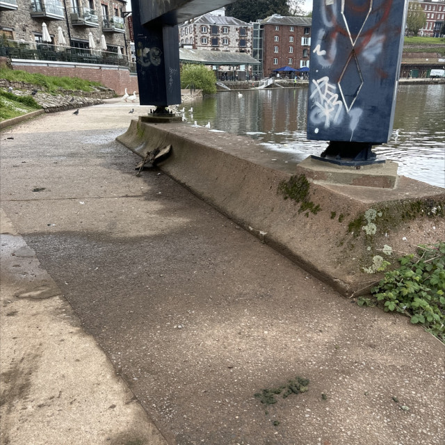 Spot #41175