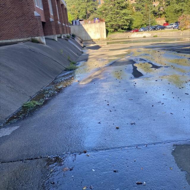 university of Richmond ditch