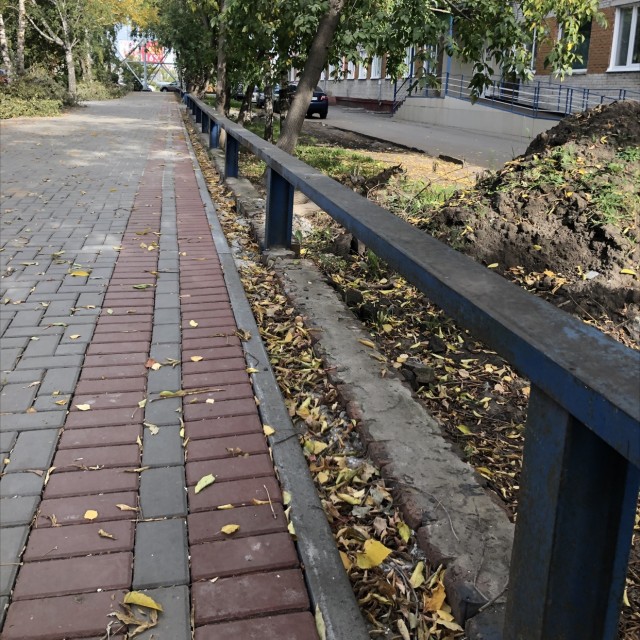 Elizarovikh 53 blue flat rail