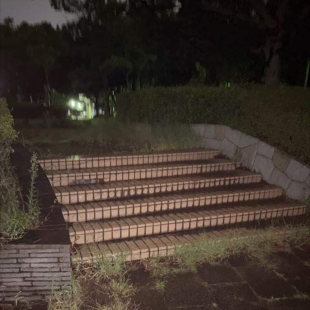 幅広のダウンレッジ付きステア