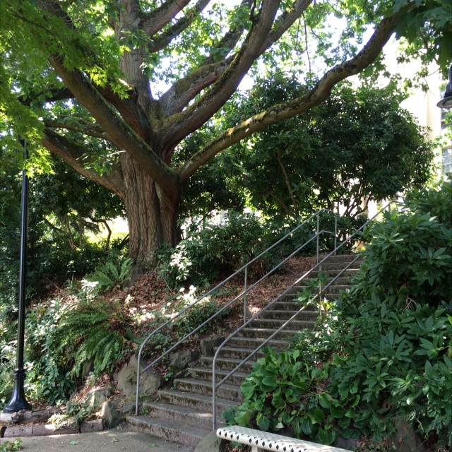 Tall rail 