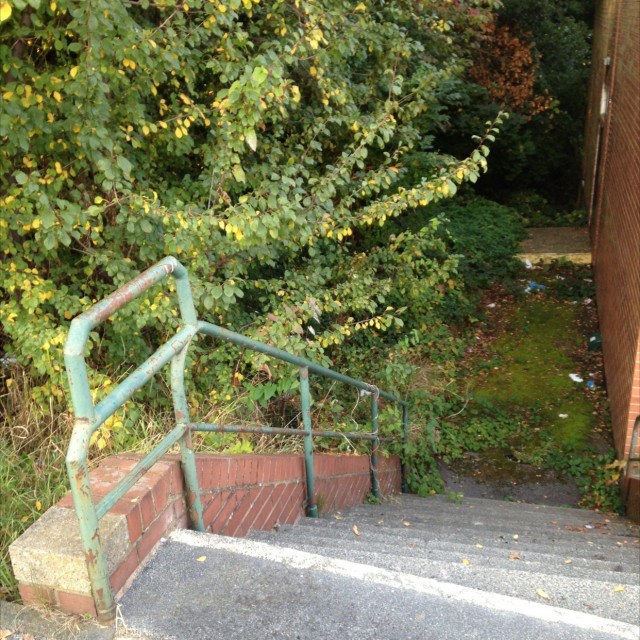 Spot #6082