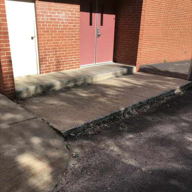 Small ledge with many pad