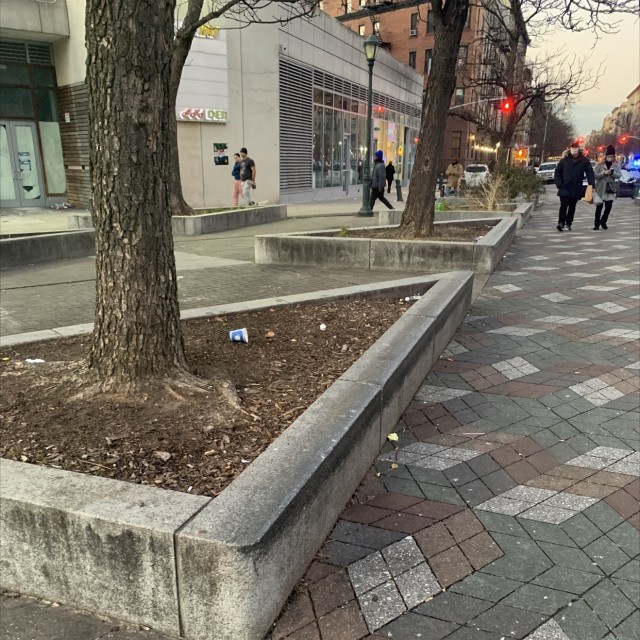 110th street ledges