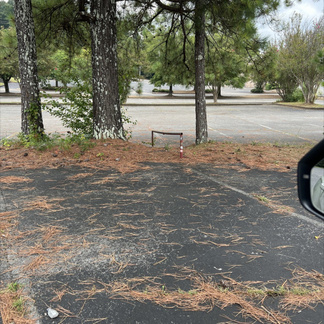Spot #49231