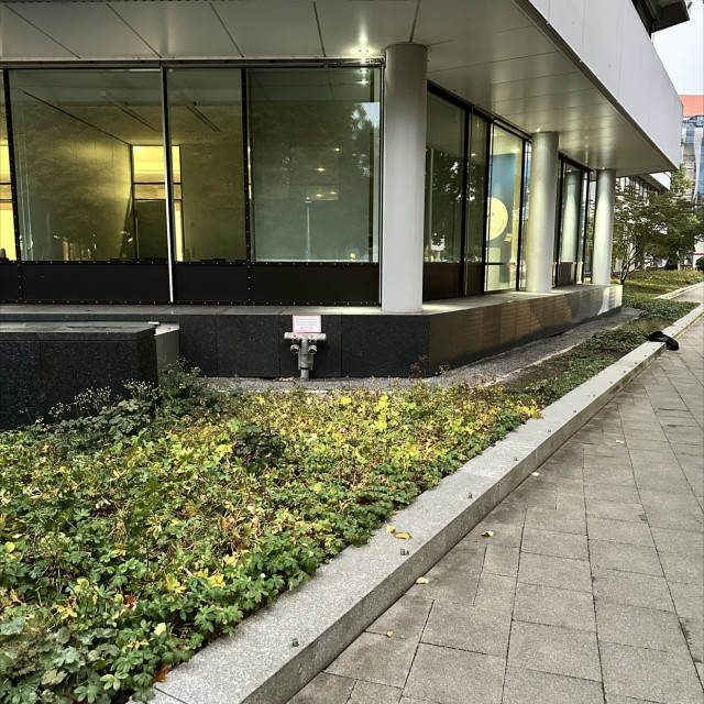 Spot #49867