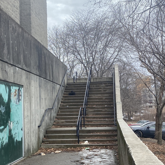 Back of Madison park 