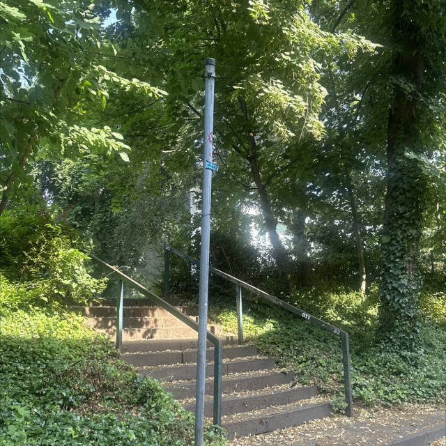 Downrail