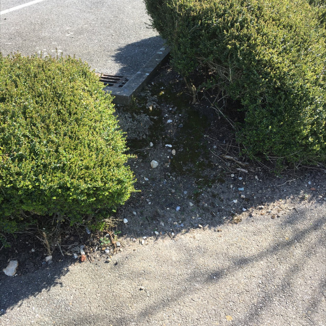 Grass gap