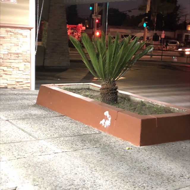 More slick ledges 