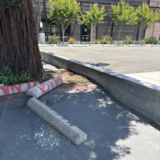Spot #37236