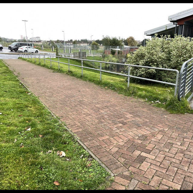 Long left and right side rails