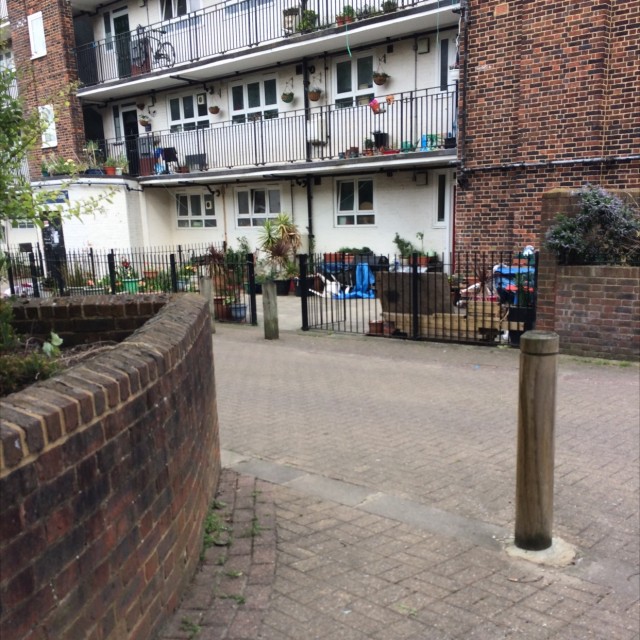 Spot #10683