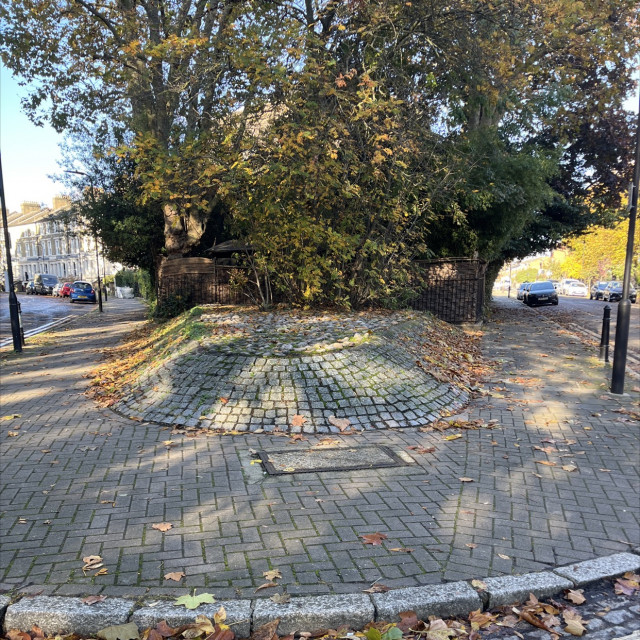 Spot #39299