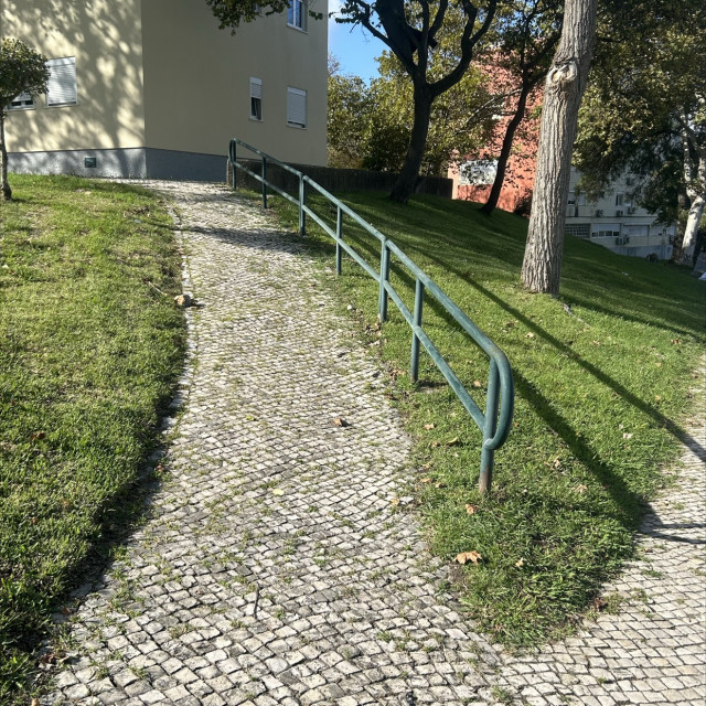 Chase Webb rail