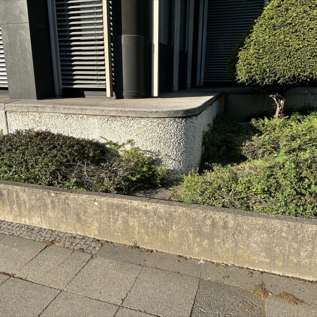 Spot #49596