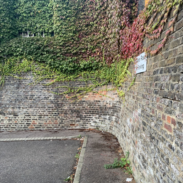 Private curved wall 