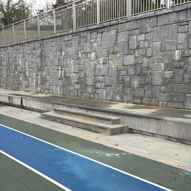 Rodney cook sr ledges 