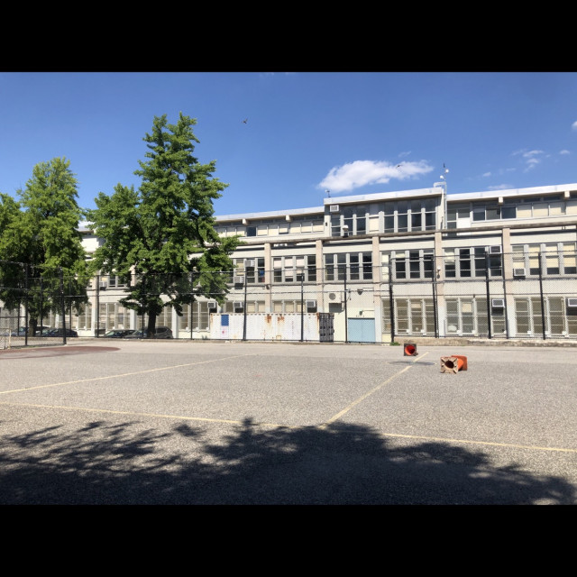 Flat ground 88