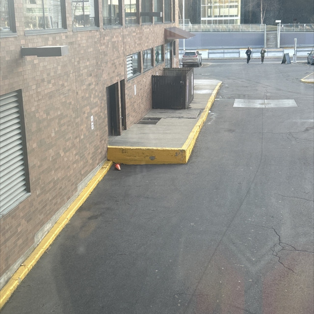 Big ass curb