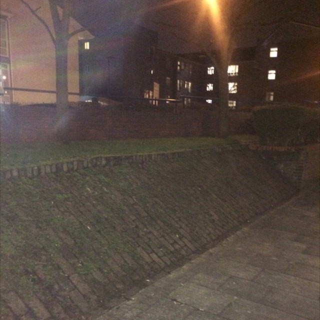 Spot #6779