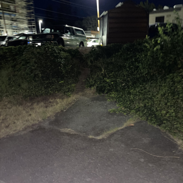 Spot #42874