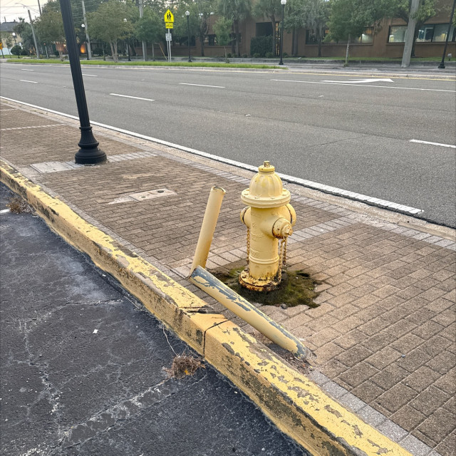 Polejam