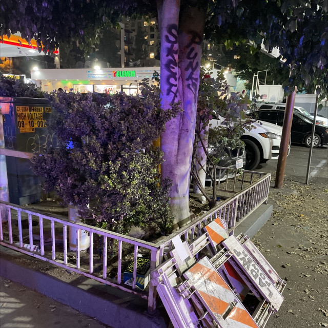 Spot #29860
