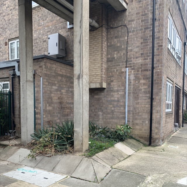 Spot #30207