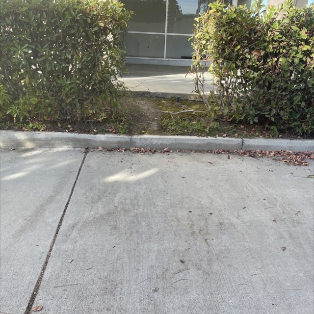 Spot #22053