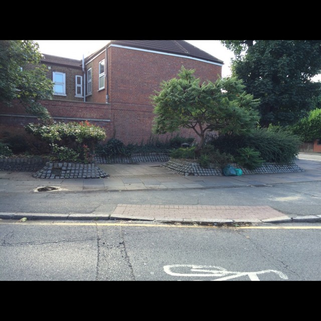 Spot #5446