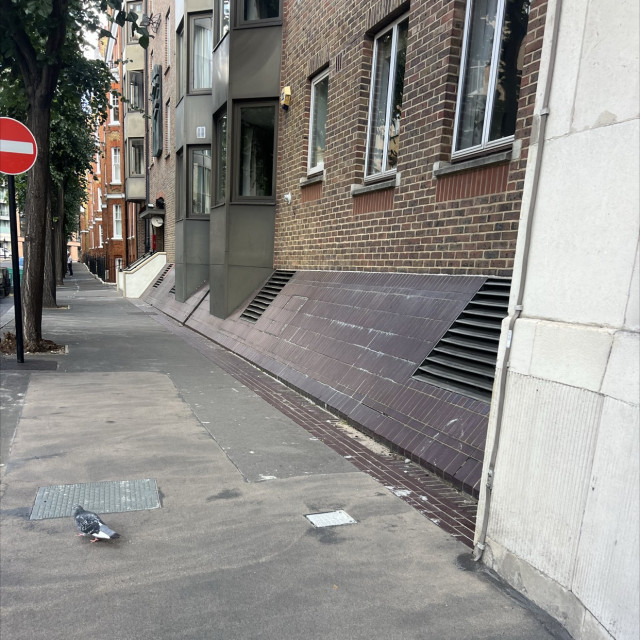 Spot #49266