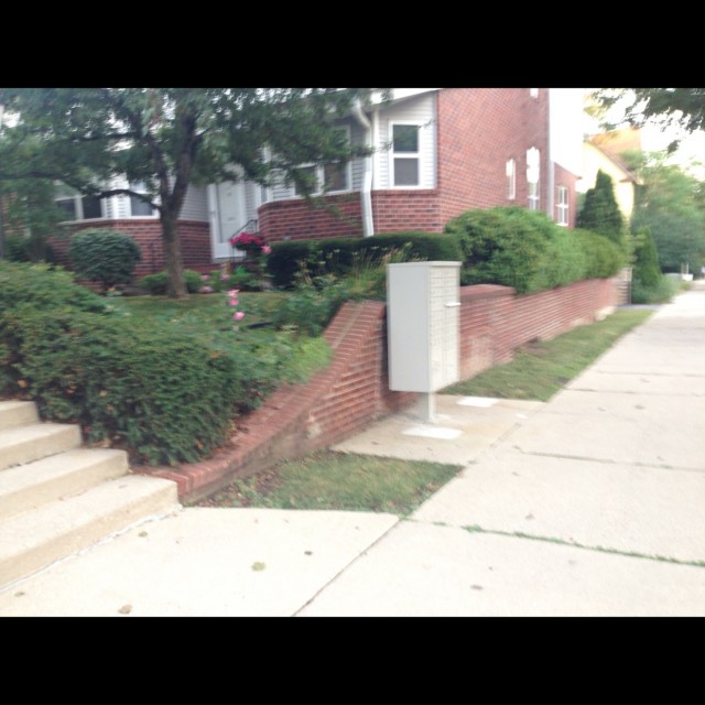 Spot #6703