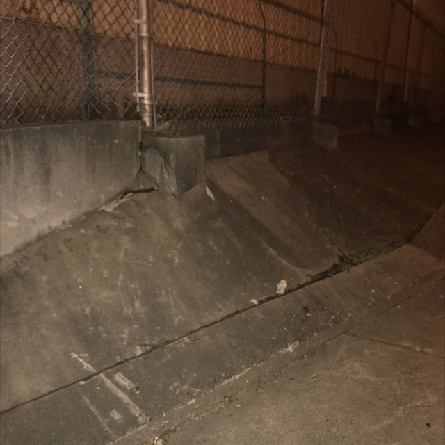 Spot #12533