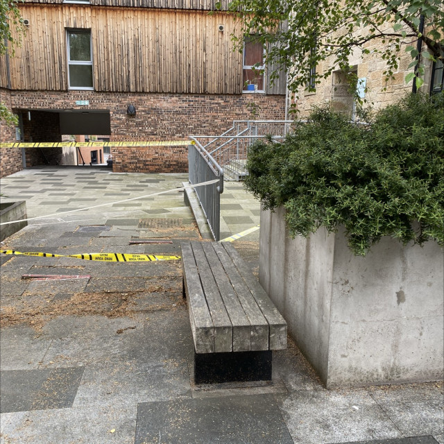 Bench to pegs