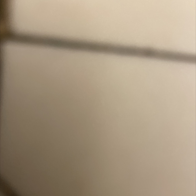 Spot #30385