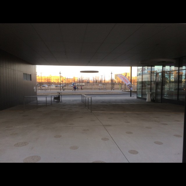Rail pads