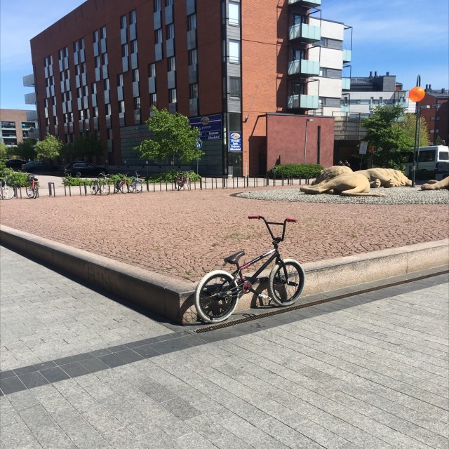 Leijonakurbit